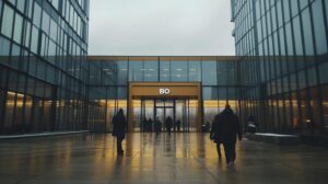 Infografika BDO Kara za Brak Numeru BDO schemat kar