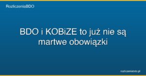 bdo kobize obowiazki kontrola 2026 featured