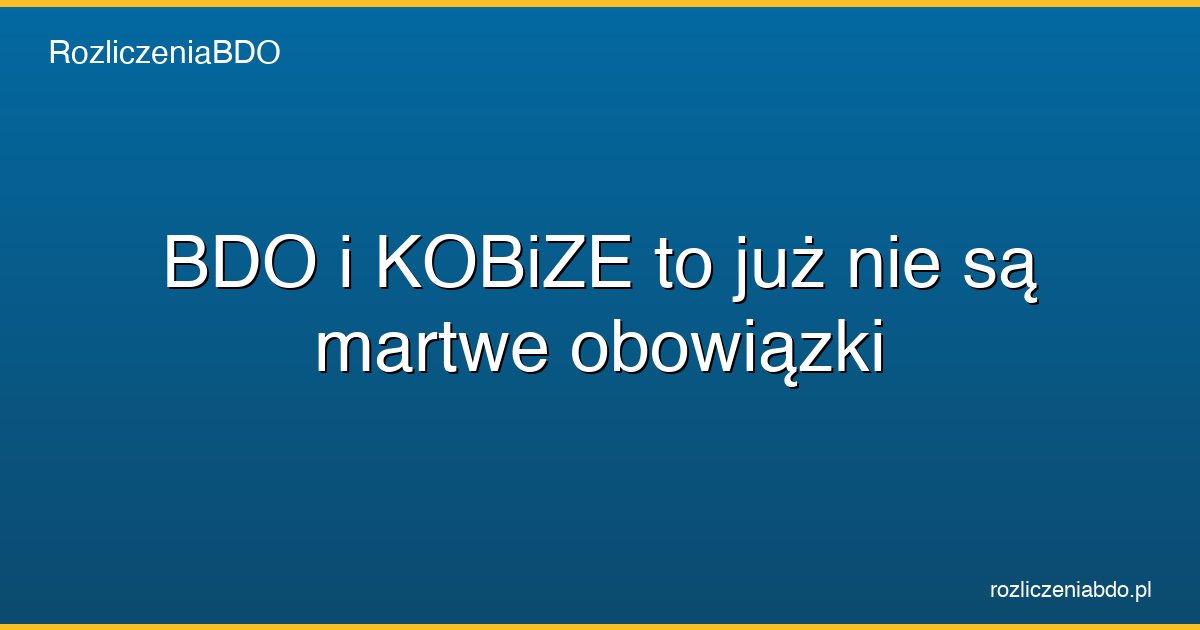 bdo kobize obowiazki kontrola 2026 featured