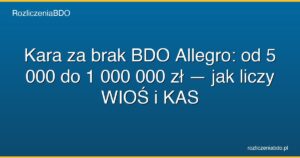 kara bdo allegro 5000 1000000 zlotych wios featured