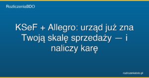 ksef allegro urzad zna skale sprzedazy kara featured