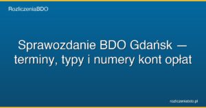 sprawozdanie bdo gdansk featured