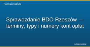 sprawozdanie bdo rzeszow featured