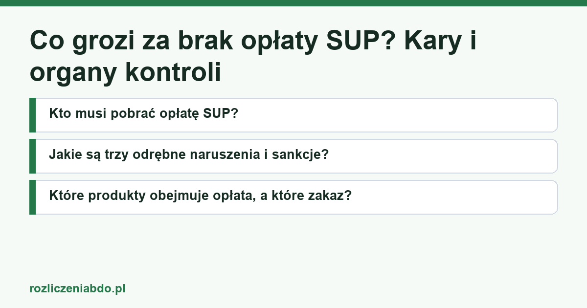 Karta artykułu: Co grozi za brak opłaty SUP? Kary i organy kontroli