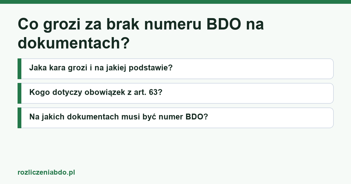 Karta artykułu: Co grozi za brak numeru BDO na dokumentach?