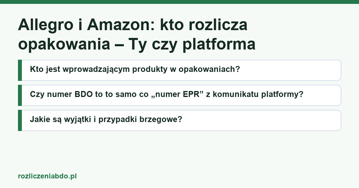 Karta artykułu: Allegro i Amazon: kto rozlicza opakowania – Ty czy platforma