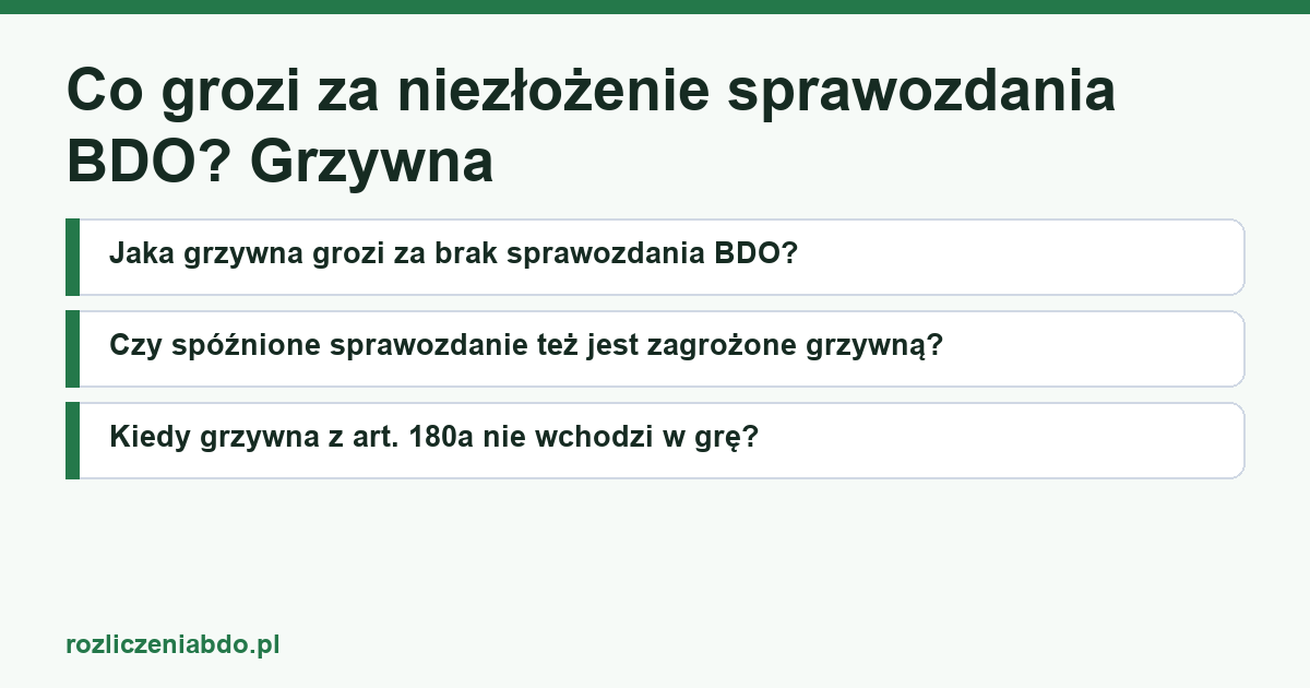 Karta artykułu: Co grozi za niezłożenie sprawozdania BDO? Grzywna